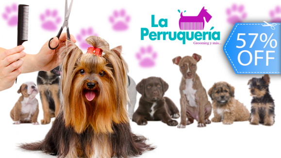 [Image: ¡Sin Restricción de Tamaño! ¡Paga Q75 en vez de Q175 por Grooming Completo para Mascota con: Baño de Avena y Coco + Corte de Pelo + Cepillado + Secado + Corte de Uñas + Limpieza de Glándulas y Oídos + Enjuague Bucal + Moño o Pañuelo y Más!m]
