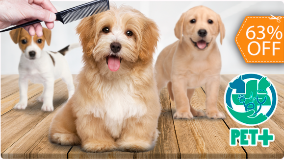 [Image: ¡Paga $12 en Lugar de $32 por 2 Grooming para Tu Mascota: 2 Baños + 2 Peinados + 2 Cortes de Uñas + 2 Limpiezas de Oídos + 2 Limpiezas de Glándulas Anales + 2 Perfumados + 2 Pañuelos o Moños + 2 Desparasitaciones o 2 Cortes de Pelo!m]
