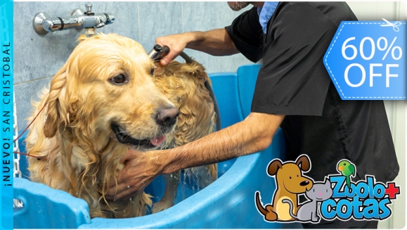 [Image: ¡Sin Restricción de Tamaño! ¡Paga Q99 en vez de Q250 por Grooming para tu Mascota con: Baño Antipulgas, Corte, Cepillado, Limpieza de Glándulas Anales, Corte y Limado de Uñas, Limpieza de Oídos, Pañuelo y Perfume + Desparasitante + Pipeta Antipulgas!m]
