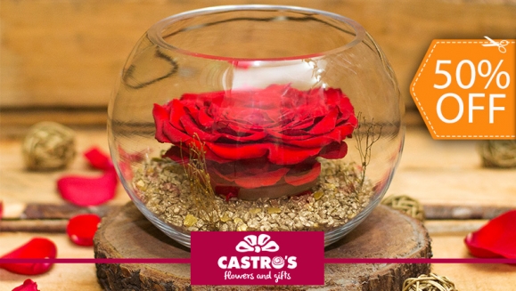 [Image: ¡Paga $20 en Lugar de $40 por Delicada Rosa Grande Preservada de Color a Elección y en Base de Cristal!m]
