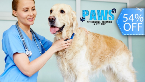 [Image: ¡Sin Restricción de Tamaño! ¡Paga Q165 en vez de Q355 por Grooming para tu Mascota: Baño Anti-Garrapatas + Corte de Pelo y Uñas + Cepillado + Limpieza de Glándulas, Oídos y Dientes + Pipeta Anti-Pulgas + Desparasitante o Multivitamínico y Más!m]