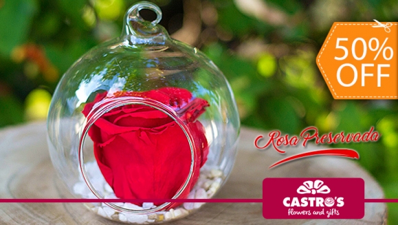 [Image: ¡Paga $12.50 en Lugar de $25 por Delicada Rosa Preservada Tamaño XL de Color a Elección y en Base Redonda de Cristal! ¡Disponibles 103 Cupones!m]