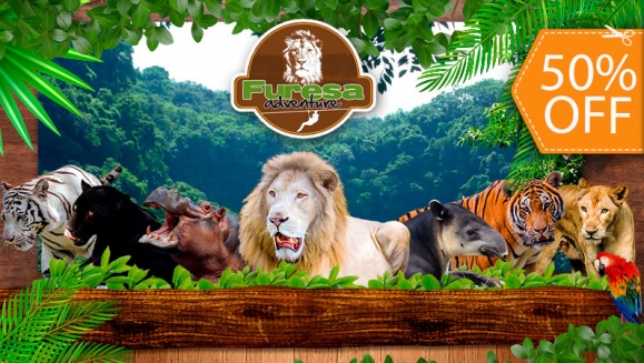 [Image: ¡Paga $20 en Lugar de $40 por 4 Entradas al Parque!m]