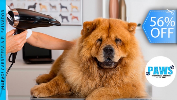 [Image: ¡Sin Restricción de Tamaño! ¡Paga Q165 en vez de Q375 por Grooming para Mascota: Baño Anti-Garrapatas + Corte de Pelo y Uñas + Cepillado + Limpieza de Glándulas, Oídos y Dientes + Pipeta Anti-Pulgas + Desparasitante o Multivitamínico y Más!m]