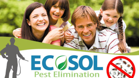 [Image: ¡Paga Q399 en lugar de Q1200 por un servicio plus de fumigación que consiste en la eliminación de plagas internas y de jardín + refuerzo general y 3 meses de visitas ilimitadas sin recargo como garantía con ECOSOL!m]