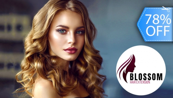 Image of Tinte Completo o Baño de Color ALFAPARF