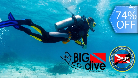 [Image: ¡Paga Q699 en vez de Q2,740 por Curso de Buceo “1 ESTRELLA” ADIP INTERNATIONAL de 30 Horas con:  Clases Teóricas En Línea + Inmersión en Piscina + Instrucción en 4 Buceos en Aguas Abiertas + Licencia ADIP INTERNACIONAL + Diploma Original y Más!m]