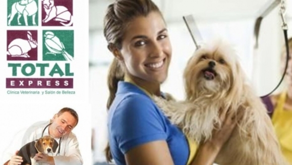[Image: ¡Paga Q89 en lugar de Q270 por grooming completo (baño, corte de pelo, corte de uñas, limpieza de glándulas y oídos) + tratamiento anti pulgas + consulta veterinaria en Total Express Clínica Veterinaria y Salón de Belleza!m]