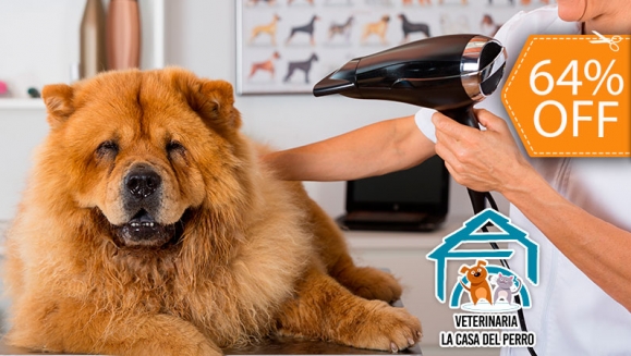[Image: ¡Paga $12 en Lugar de $33.70 por Grooming para Tu Mascota con: Baño + Limpieza de Oídos + Limpieza de Glándulas Anales + Corte o Limado de Uñas + Desparasitante + Cepillado de Dientes + Perfumado + Pañoleta o Moño + Cepillo Dental + Bote de Perfume!m]
