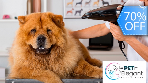 [Image: ¡Sin Restricción de Tamaño! ¡Paga Q135 en Lugar de Q450 por Grooming para Tu Mascota con: Baño Medicado Antipulgas y Antigarrapatas + Corte de Pelo + Limado de Uñas + Limpieza de Glándulas y Oídos + Cepillado de Dientes + Desparasitante y Más!m]