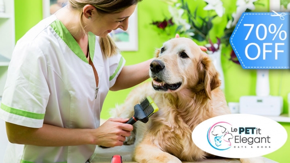 [Image: ¡Sin Restricción de Tamaño! ¡Paga Q135 en lugar de Q450 por Grooming para Tu Mascota con: Baño Medicado Antipulgas y Antigarrapatas + Estilizado de Pelo + Limado de Uñas + Limpieza de Glándulas y Oídos + Cepillado de Dientes + Desparasitante y Más!m]
