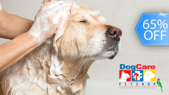 [Image: ¡Paga Q88 en vez de Q250 por Grooming para tu Mascota: Baño Antipulgas + Corte + Cepillado + Limpieza de Glándulas + Corte y Limado de Uñas + Limpieza y Depilación de Oídos + Pipeta Antipulgas y Garrapatas + Desparasitante! ¡Razas Pequeñas- Medianas!m]