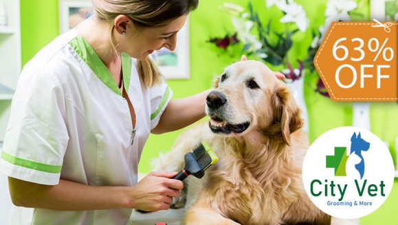 [Image: ¡Paga $12 en Lugar de $32 por Grooming para Mascota: Baño + Limpieza de Oídos + Limpieza de Glándulas Anales + Corte o Limado de Uñas + Desparasitante + Cepillado de Dientes + Juguete + Pañoleta o Moño + Perfumado!m]