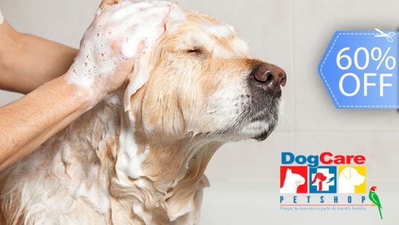 [Image: ¡Paga Q99 en vez de Q250 por Grooming para tu Mascota: Baño Antipulgas + Corte + Cepillado + Limpieza de Glándulas + Corte y Limado de Uñas + Limpieza y Depilación de Oídos + Pipeta Antipulgas y Garrapatas + Desparasitante! ¡Razas Pequeñas- Medianas!m]