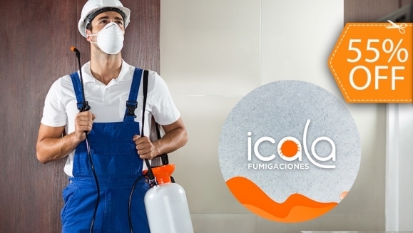 [Image: ¡Paga $18 en Lugar de $40 por Fumigación de Plagas de Insectos Voladores y Rastreros: Zancudos, Hormigas, Cucarachas, Arañas, Mosquitos, Ratas, Garrapatas y Pulgas!m]