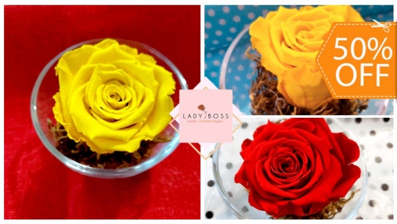 [Image: ¡Paga $20 en Lugar de $40 por Delicada Rosa Preservada en Base de Vidrio!m]
