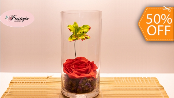 [Image: ¡Paga $20 en Lugar de $40 por Delicado Arreglo de 1 Rosa Preservada Tamaño XL + 1 Orquídea Artificial en Base Cilíndrica de Cristal!m]