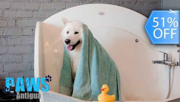 [Image: ¡Sin Restricción de Tamaño! ¡Paga Q235 en Vez de Q480 por Grooming para Tu Mascota: Pipeta Anti-Pulgas + Baño Anti-Garrapatas + Corte de Pelo y Uñas + Cepillado de Dientes + Limpieza de Glándulas y Oídos + Desparasitante y Consulta Veterinaria y Más!m]