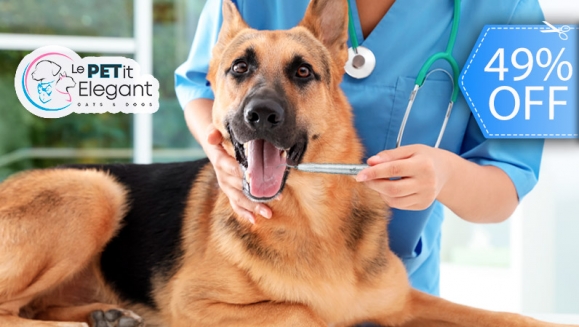 [Image: ¡Paga Q350 en Lugar de Q680 por Limpieza Dental para Tu Mascota con: Remoción de Sarro, Pulido Dental, Revisión de Caries y Abscesos!m]
