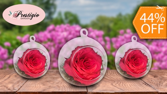 [Image: ¡Paga $10 en Lugar de $18 por Lindo Arreglo de 1 Rosa Preservada (10 cm de Diámetro) en Base de Cristal!m]
