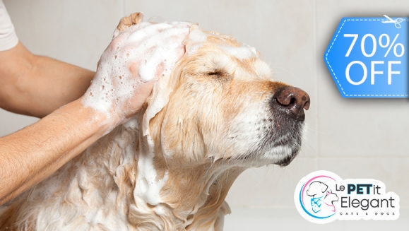 [Image: ¡Sin Restricción de Tamaño! ¡Paga Q135 en Lugar de Q450 por Grooming Completo con Corte de Pelo + Limado de Uñas + Limpieza de Glándulas y Oídos +: Baño Medicado Antipulgas y Antigarrapatas + Cepillado de Dientes + Desparasitante y Más!m]