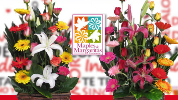 [Image: ¡Demuéstrale tu amor a mamá! ¡Paga Q180 en lugar de Q360 por arreglo floral  “Jardinera Extravagante” en  Floristería Maples y Margaritas!m]