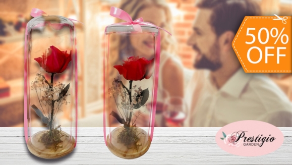 [Image: ¡Paga $22 en Lugar de $44 por Lindo Arreglo de 1 Rosa Preservada en Cilindro de Cristal!m]