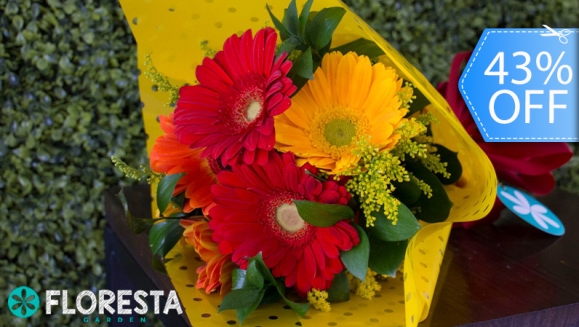 [Image: ¡Paga Q99 en Lugar de Q175 por Ramo de 6 Gerberas de Colores a Elección Decoradas con Papel Fino!m]