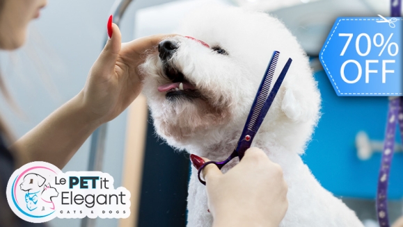 [Image: ¡Sin Restricción de Tamaño! ¡Paga Q135 en Lugar de Q450 por Grooming Completo con Corte de Pelo + Limado de Uñas + Limpieza de Glándulas y Oídos + Baño Medicado Antipulgas y Antigarrapatas + Cepillado de Dientes + Desparasitante y Más!m]
