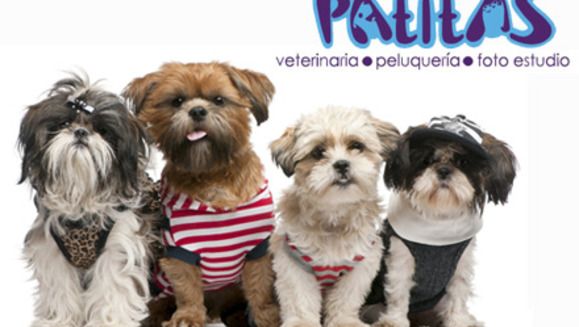 [Image: ¡Paga $14 en lugar de $35 por Paquete para tu Mascota: Cambio de Look + 2 fotos profesionales en Foto-estudio + Medalla personalizada + Desparasitante + Sesión de baño en segunda visita en Patitas Veterinaria!m]