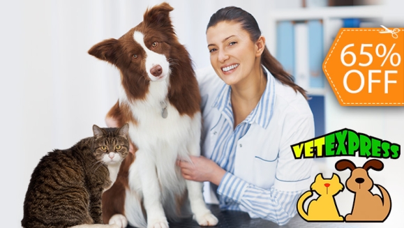 [Image: ¡Paga $25 en Lugar de $71 por Consulta Veterinaria + Baño Medicado + Desparasitación Inyectada + Aplicación de Pipeta!m]