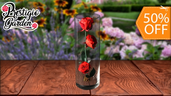[Image: ¡Paga $26 en Lugar de $52 por Elegante Arreglo de 3 Rosas Preservadas en Cápsula de Cristal!m]