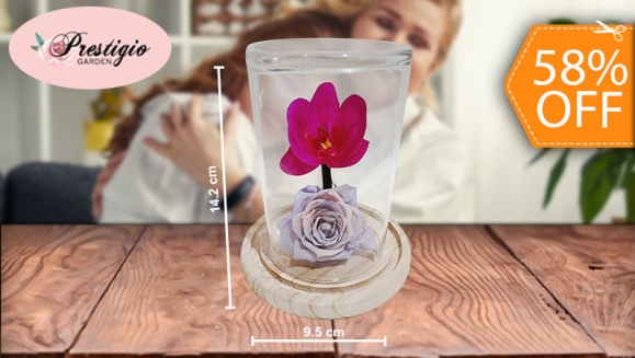 [Image: ¡Paga $20 en Lugar de $48 por Hermosa Rosa Preservada en Capsula de Cristal con Base de Madera y Adornada con Orquídea Artificial!m]