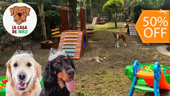 [Imagen:¡Paga $14 en Lugar de $28 por 1 Hora en el Parque para Perros + Baño Profesional + Corte y Limado de Uñas Profesional + Limpieza Profunda de Orejas + Hidratación Profunda + Secado + Accesorio!]