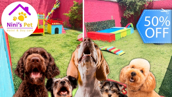 [Image: ¡Paga Q85 en Lugar de Q169 por 1 Noche de Hospedaje para Tu Perro con Juegos al Aire Libre, Socialización con Otros Perros, Piscina y Habitación Privada!m]