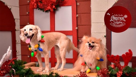 [Image: ¡Paga Q199 en lugar de Q399 por Sesión Fotográfica Profesional en 2 Sets Navideños hasta para 6 Personas + 5 Fotografías Impresas + Fotos Digitales!m]