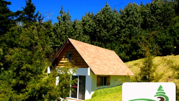 [Image: ¡Paga $69 en vez de $141.60 por estadía hasta para 4 personas en las cabañas de Hacienda los 2 Sauces en El Pital! ¡SÓLO 53 CUPONES DISPONIBLES!m]