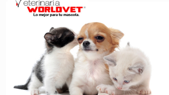 [Image: ¡Paga $15 en vez de $75 por Paquete para Mascota que incluye: Vacuna antirrábica marca Pfizer + Grooming Completo + Limpieza Dental + Consulta Veterinaria + Desparasitante en Veterinaria Worldvet!m]
