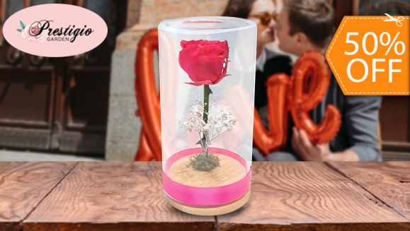 [Image: ¡Paga $15 en Lugar de $30 por Rosa Mediana en Cilindro Pequeño de Vidrio!m]