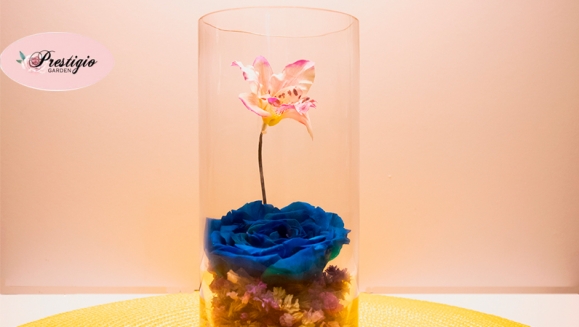 [Image: ¡Paga $20 en Lugar de $40 por Delicado Arreglo de 1 Rosa Preservada Tamaño XL + 1 Orquidea Artificial en Base Cilindrica de Cristal!m]