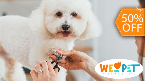 [Image: ¡Paga $10.50 en Lugar de $21 Por Grooming para Perro: Baño a Elección + Secado + Corte y Cepillado de Pelo + Corte y Limado de Uñas + Limpieza de Oídos + Limpieza de Glándulas Anales + Pañoleta o Moño + Perfumado + Revisión Física!m]