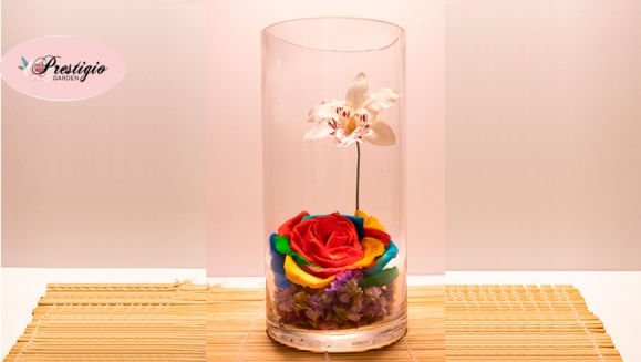 [Image: ¡Paga $20 en Lugar de $40 por Delicado Arreglo de 1 Rosa Preservada Tamaño XL + 1 Orquídea Artificial en Base Cilíndrica de Cristal!m]