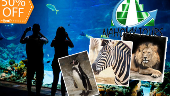 [Image: ¡Paga $30 en vez de $60 por Paseo a Guatemala que incluye: Transporte + Entrada a Zoológico La Aurora + Visita a Nais Aquarium + Visita a Cayalá + Asistencia Migratoria + CD con Fotos del Tour + Snack en Nahomy Tours!  ¡Sólo 99 cupones disponibles!m]