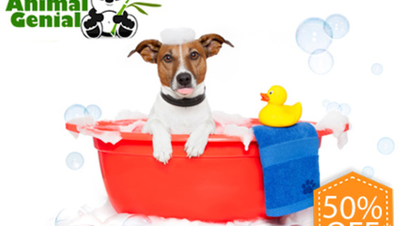 [Image: ¡Paga Q75 en vez de Q150 por Grooming completo para tu mascota que incluye: Baño con Shampoo y Acondicionador Anti-alérgico + Corte + Secado + Cepillado + Limpieza de Glándulas y Oídos + Corte de Uñas y Perfumado + Moño o corbatín en Animal Genial!m]