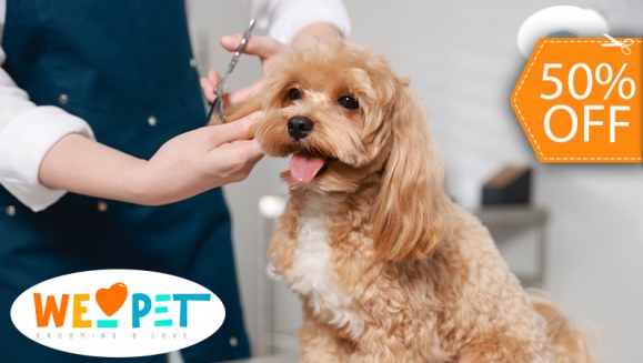 [Image: ¡Paga $12.50 en Lugar de $25 Por Grooming para Mascota: Baño a Elección + Secado + Corte y Cepillado de Pelo + Corte y Limado de Uñas + Limpieza de Oídos + Limpieza de Glándulas Anales + Revisión Física +  15% de Descuento en Vacunación y Más!m]