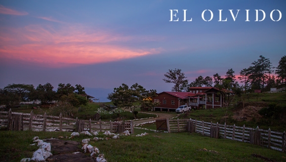 [Image: ¡Paga Q699 en Lugar de Q1,500 por Estadía de 1 Noche para 6-8 Personas en Cabaña Equipada con Cocina + Uso de Instalaciones y Actividades de Montaña: Tour a La Piedra del Jardín, Ordeño, Pesca de Tilapia, Piscina Natural y Más!m]