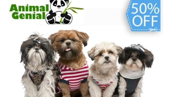 [Image: ¡Paga Q75 en lugar de Q150 por Grooming Completo que incluye: Shampoo Antialérgico + Acondicionador + Corte, Secado y Cepillado + Limpieza de Glándulas y Oídos + Corte de Uñas y Perfumado + Moña o Corbatín en Animal Genial!m]