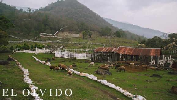 [Imagen:¡Paga Q149 en vez de 250 por Day Pass para 2 en Sierra de Las Minas! Actividades de Montaña: Tour a La Piedra del Jardín, Pesca, Piscina Natural, Almuerzos y Bebidas a Elección y Más!]