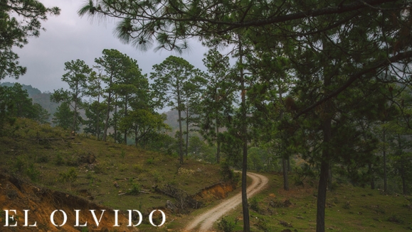 [Imagen:¡Paga Q149 en vez de 250 por Day Pass para 2 en Sierra de Las Minas! Actividades de Montaña: Tour a La Piedra del Jardín, Pesca, Piscina Natural, Almuerzos y Bebidas a Elección y Más!]