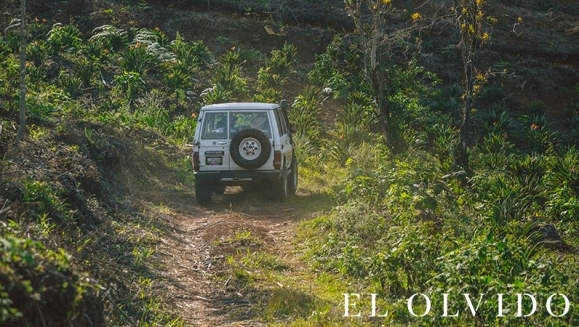 [Imagen:¡Paga Q149 en vez de 250 por Day Pass para 2 en Sierra de Las Minas! Actividades de Montaña: Tour a La Piedra del Jardín, Pesca, Piscina Natural, Almuerzos y Bebidas a Elección y Más!]